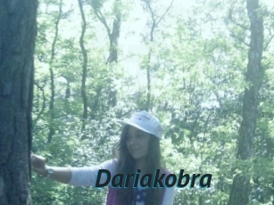 Dariakobra