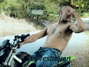 Davesulivan