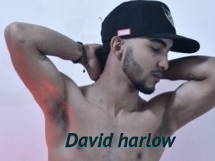 David_harlow