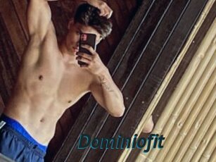 Dominiofit