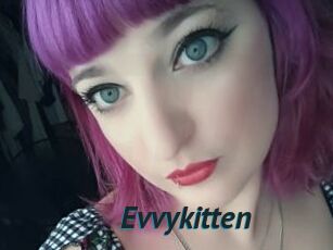 Evvykitten