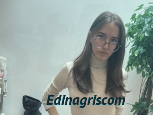 Edinagriscom
