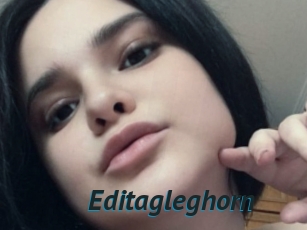 Editagleghorn