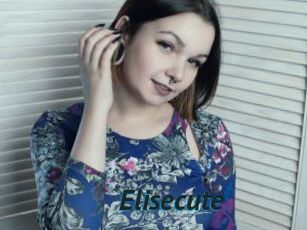 Elisecute