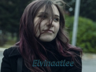 Elvinaatlee