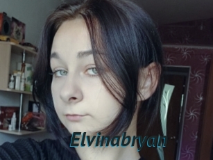Elvinabryan