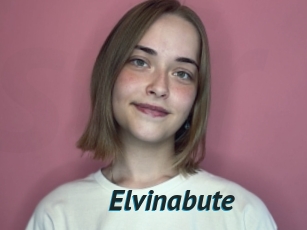 Elvinabute