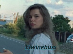 Elwinebuss