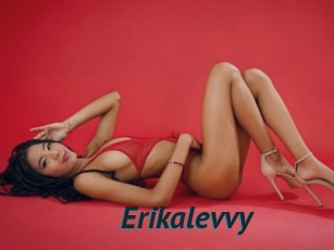 Erikalevvy