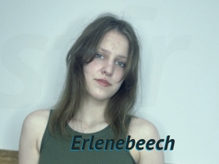 Erlenebeech