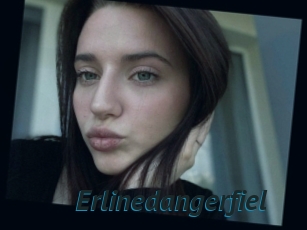 Erlinedangerfiel