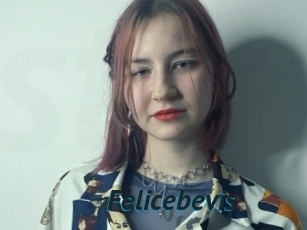 Felicebevis