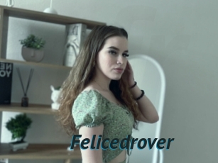 Felicedrover