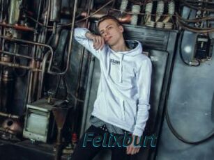 Felixburt