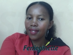 Fenieginette