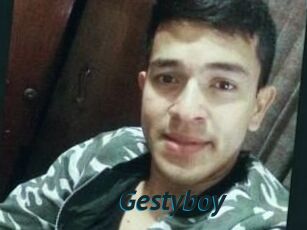 Gestyboy