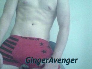 GingerAvenger