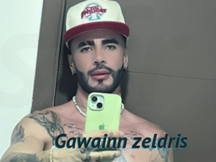 Gawainn_zeldris