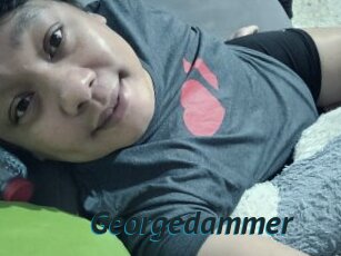 Georgedammer