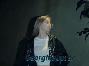 Georginaborer