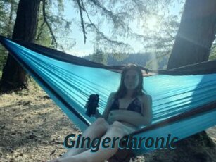 Gingerchronic