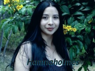 Hamnaholmes