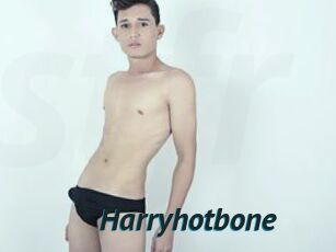 Harryhotbone