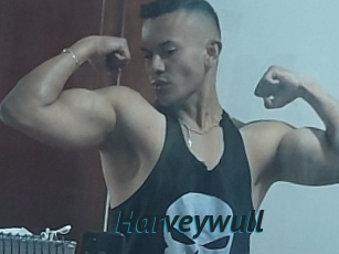 Harveywull