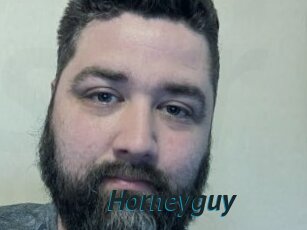 Horneyguy