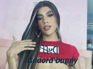 Isadora_bunny
