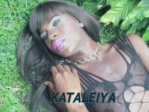 KATALEIYA