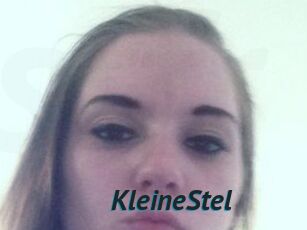 KleineStel