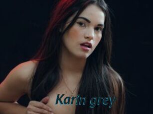 Karin_grey