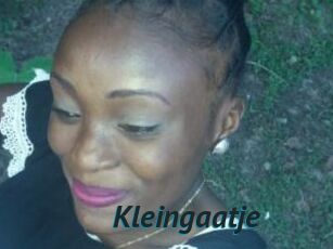 Kleingaatje