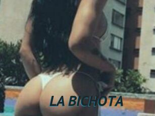 LA_BICHOTA