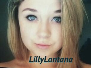 LillyLantana