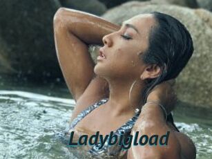 Ladybigload