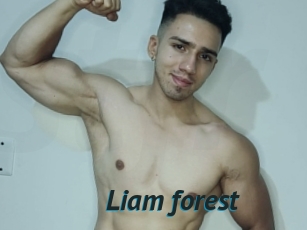 Liam_forest