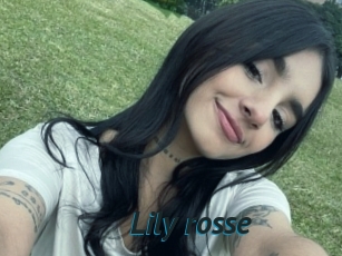 Lily_rosse