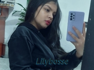 Lilybosse
