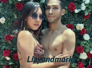 Lizyandmarks
