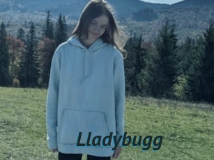 Lladybugg