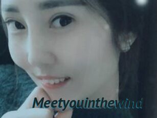 Meetyouinthewind