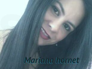 Mariana_hornet
