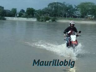 Maurillobig