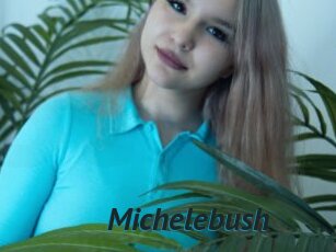 Michelebush
