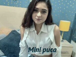 Mini_puca