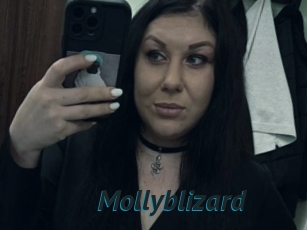 Mollyblizard