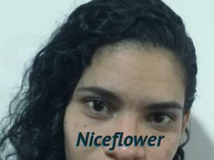 Nice_flower