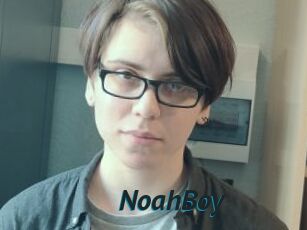 NoahBoy